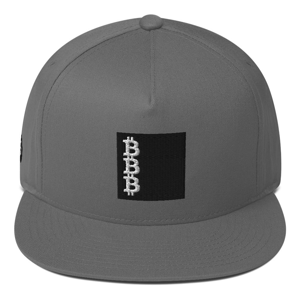 Block Logo Flat Bill Cap